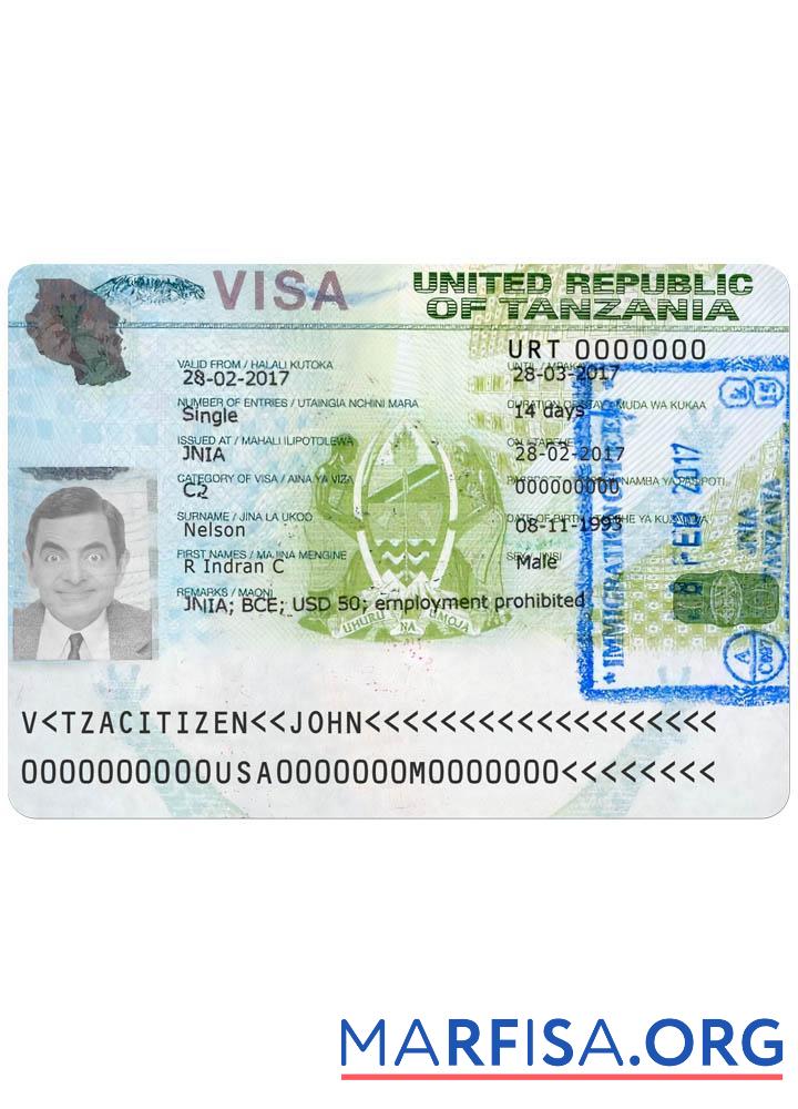 Realistic Tanzania travel visa version 2 download for verification